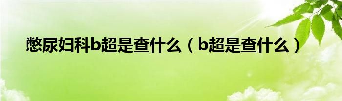 憋尿婦科b超是查什么（b超是查什么）