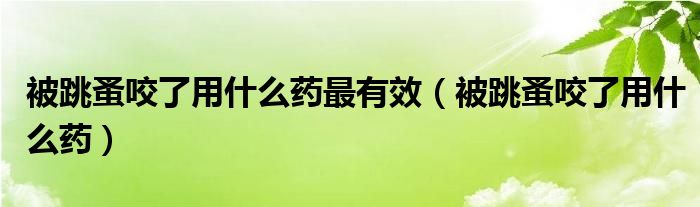 被跳蚤咬了用什么藥最有效（被跳蚤咬了用什么藥）