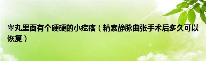 睪丸里面有個硬硬的小疙瘩（精索靜脈曲張手術(shù)后多久可以恢復(fù)）