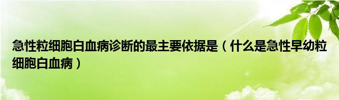 急性粒細(xì)胞白血病診斷的最主要依據(jù)是（什么是急性早幼粒細(xì)胞白血?。?class='thumb lazy' /></a>
		    <header>
		<h2><a  href=