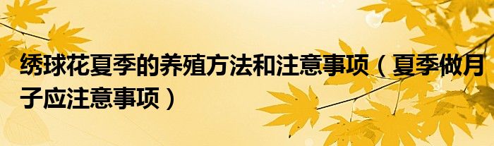 繡球花夏季的養(yǎng)殖方法和注意事項（夏季做月子應(yīng)注意事項）