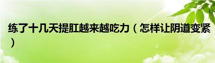 練了十幾天提肛越來(lái)越吃力（怎樣讓陰道變緊）