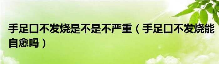 手足口不發(fā)燒是不是不嚴(yán)重（手足口不發(fā)燒能自愈嗎）