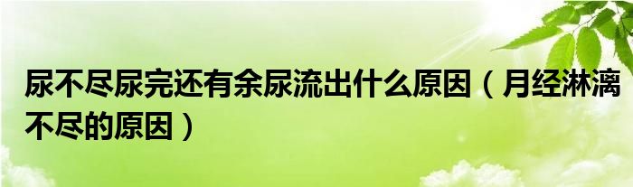 尿不盡尿完還有余尿流出什么原因（月經(jīng)淋漓不盡的原因）