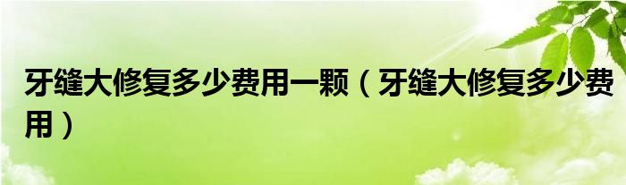 牙縫大修復多少費用一顆（牙縫大修復多少費用）