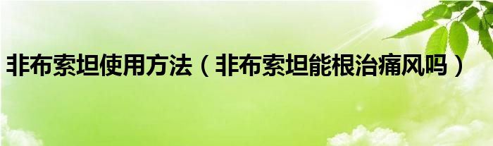 非布索坦使用方法（非布索坦能根治痛風嗎）