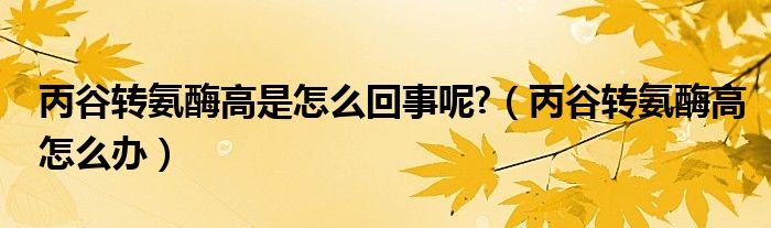 丙谷轉(zhuǎn)氨酶高是怎么回事呢?（丙谷轉(zhuǎn)氨酶高怎么辦）