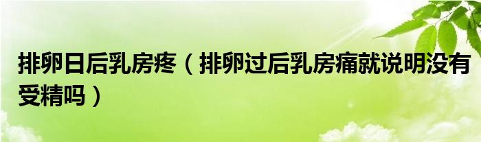 排卵日后乳房疼（排卵過后乳房痛就說(shuō)明沒有受精嗎）