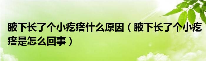 腋下長了個(gè)小疙瘩什么原因（腋下長了個(gè)小疙瘩是怎么回事）