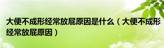 大便不成形經(jīng)常放屁原因是什么（大便不成形經(jīng)常放屁原因）