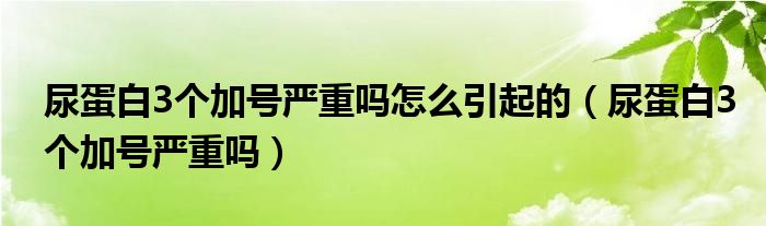 尿蛋白3個加號嚴(yán)重嗎怎么引起的（尿蛋白3個加號嚴(yán)重嗎）