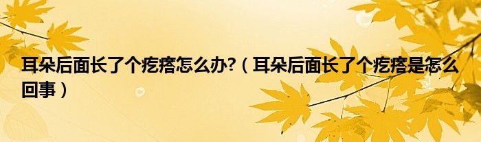 耳朵后面長了個疙瘩怎么辦?（耳朵后面長了個疙瘩是怎么回事）