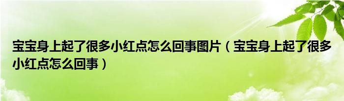 寶寶身上起了很多小紅點怎么回事圖片（寶寶身上起了很多小紅點怎么回事）