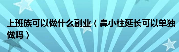 上班族可以做什么副業(yè)（鼻小柱延長(zhǎng)可以單獨(dú)做嗎）