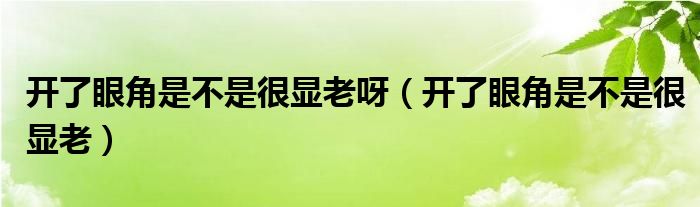 開了眼角是不是很顯老呀（開了眼角是不是很顯老）