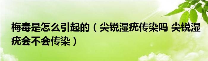 梅毒是怎么引起的（尖銳濕疣傳染嗎 尖銳濕疣會不會傳染）