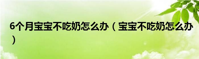 6個月寶寶不吃奶怎么辦（寶寶不吃奶怎么辦）