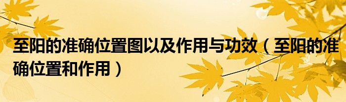 至陽的準(zhǔn)確位置圖以及作用與功效（至陽的準(zhǔn)確位置和作用）