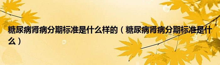 糖尿病腎病分期標(biāo)準(zhǔn)是什么樣的（糖尿病腎病分期標(biāo)準(zhǔn)是什么）