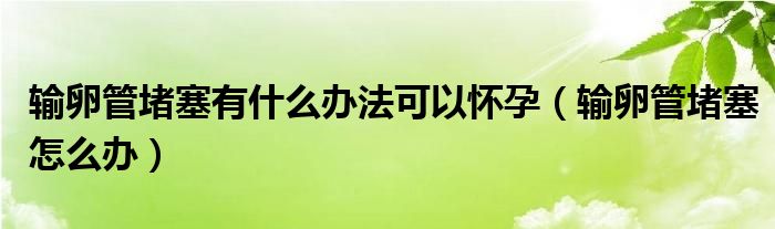 輸卵管堵塞有什么辦法可以懷孕（輸卵管堵塞怎么辦）