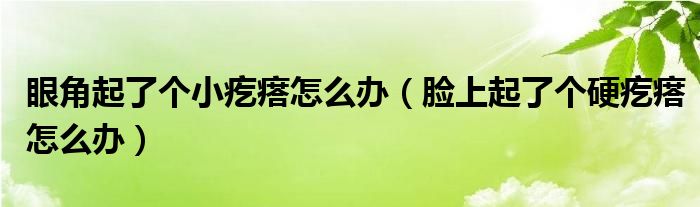 眼角起了個小疙瘩怎么辦（臉上起了個硬疙瘩怎么辦）