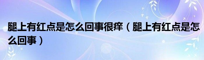 腿上有紅點(diǎn)是怎么回事很癢（腿上有紅點(diǎn)是怎么回事）