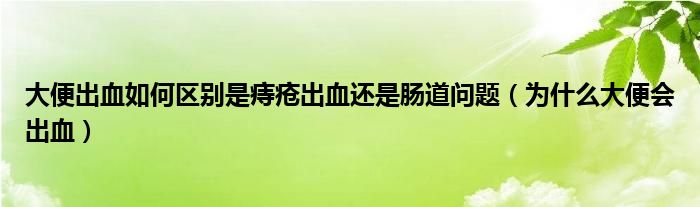 大便出血如何區(qū)別是痔瘡出血還是腸道問(wèn)題（為什么大便會(huì)出血）