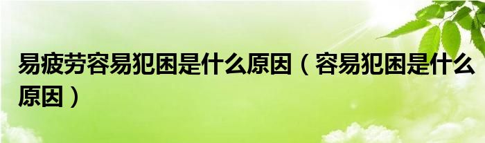 易疲勞容易犯困是什么原因（容易犯困是什么原因）