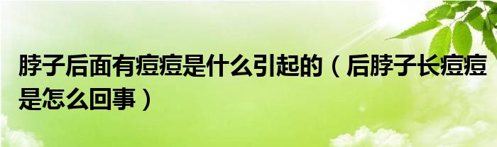 脖子后面有痘痘是什么引起的（后脖子長(zhǎng)痘痘是怎么回事）