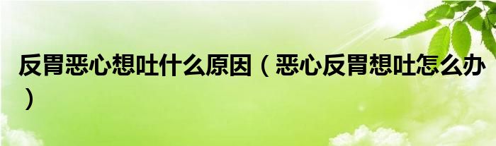 反胃惡心想吐什么原因（惡心反胃想吐怎么辦）