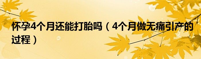 懷孕4個(gè)月還能打胎嗎（4個(gè)月做無(wú)痛引產(chǎn)的過(guò)程）