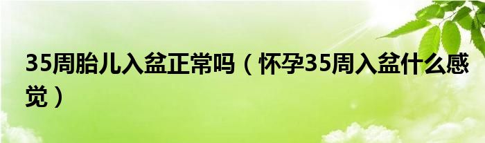 35周胎兒入盆正常嗎（懷孕35周入盆什么感覺(jué)）