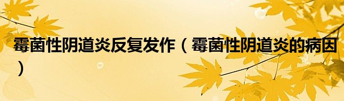 霉菌性陰道炎反復(fù)發(fā)作（霉菌性陰道炎的病因）