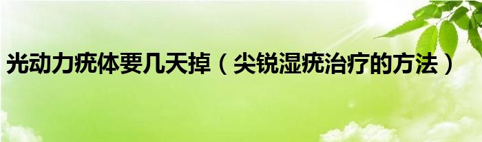 光動(dòng)力疣體要幾天掉（尖銳濕疣治療的方法）