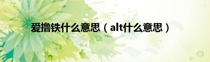 愛(ài)擼鐵什么意思（alt什么意思）