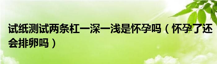 試紙測試兩條杠一深一淺是懷孕嗎（懷孕了還會(huì)排卵嗎）