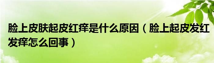 臉上皮膚起皮紅癢是什么原因（臉上起皮發(fā)紅發(fā)癢怎么回事）