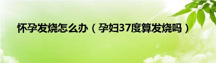 懷孕發(fā)燒怎么辦（孕婦37度算發(fā)燒嗎）