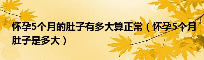 懷孕5個(gè)月的肚子有多大算正常（懷孕5個(gè)月肚子是多大）