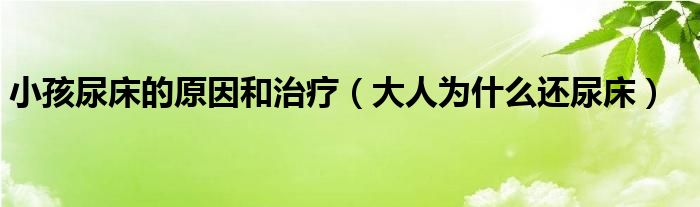 小孩尿床的原因和治療（大人為什么還尿床）