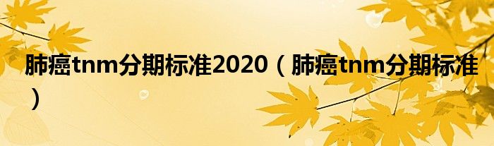 肺癌tnm分期標(biāo)準(zhǔn)2020（肺癌tnm分期標(biāo)準(zhǔn)）