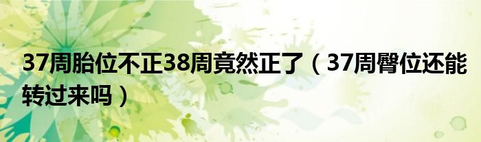 37周胎位不正38周竟然正了（37周臀位還能轉(zhuǎn)過來嗎）