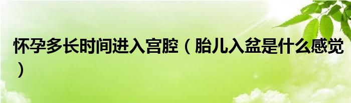 懷孕多長(zhǎng)時(shí)間進(jìn)入宮腔（胎兒入盆是什么感覺）