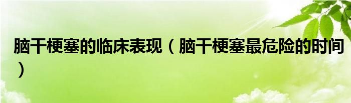 腦干梗塞的臨床表現(xiàn)（腦干梗塞最危險(xiǎn)的時(shí)間）