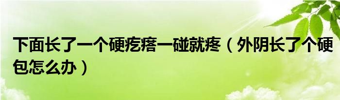 下面長了一個(gè)硬疙瘩一碰就疼（外陰長了個(gè)硬包怎么辦）