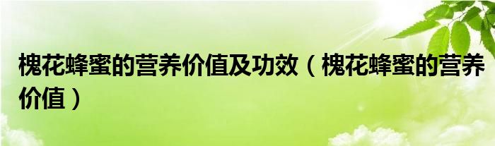 槐花蜂蜜的營養(yǎng)價(jià)值及功效（槐花蜂蜜的營養(yǎng)價(jià)值）