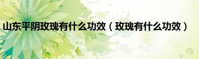 山東平陰玫瑰有什么功效（玫瑰有什么功效）