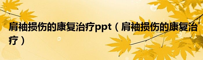 肩袖損傷的康復治療ppt（肩袖損傷的康復治療）