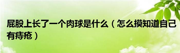 屁股上長了一個(gè)肉球是什么（怎么摸知道自己有痔瘡）