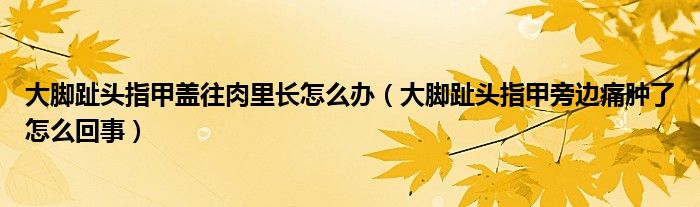 大腳趾頭指甲蓋往肉里長怎么辦（大腳趾頭指甲旁邊痛腫了怎么回事）